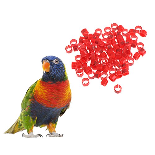 100-Pack 8mm Bird Leg Bands With Numbers Pigeons Foot Bands Clip Rings For Chicken For Quail Poultry Parrot Toys African Grey For Small Parrots For Large Birds Conure Macaw Parrot Toys Parts, White
