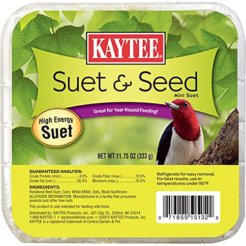 Kaytee Suet & Seed High Energy Suet 11.75 Ounces - size: 11.75 Ounce (Pack of 1), style: Suet & Seed