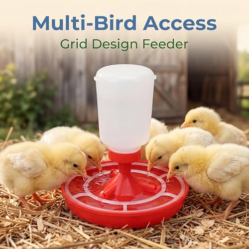 Chick Feeder and Waterer Set, Poultry Feeder Quail Waterer Duck Feeder Automatic Feed and Watering Combo for Chickens, Ducks, Turkeys, Quail, Baby Chicks, Turkeys and More