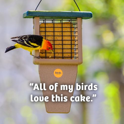Birds Choice Peanut Butter No Melt Suet Cake | Rendered Beef Suet, Oats, Roasted Peanuts, Sunflower Oil, Corn | Premium Wild Bird Food for Year-Round Backyard Feeding | 11 oz (12-Pack) | Rendered Beef Suet with Oats, Roasted Peanuts, Sunflower Oil and Cor