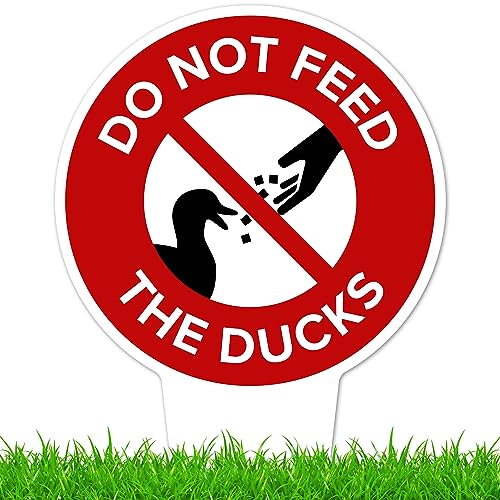 Do Not Feed the Ducks Sign, 11"x21", Heavy Duty Integrated Ground Stakes, Indoor/Outdoor Use, Rust Free Aluminum Composite, Made in USA by My Sign center - color: Ducks, size: 11"x21"