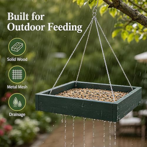 Hanging Platform Bird Feeder, 3.5 lbs Large Capacity Bird Feeder for Outdoors