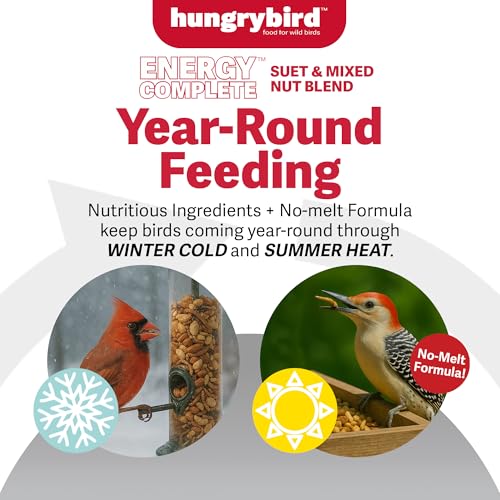 HUNGRYBIRD Energy Complete Diet, 7lb Mealworm Suet & Mixed Nuts | All-Season Feeding, Premium Wild Bird Food, No Waste, No Mess, Attracts a Wide Variety of Wild Birds