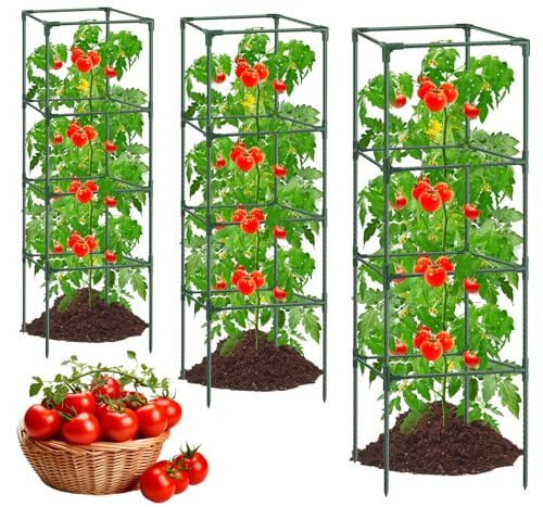 3Pack Tomato Cages for Garden,Square Tomato Plant Cage Support Heavy Duty Pole 57*15.4*15.4 Inches,Steel Plant Tower Stakes,Cherry Tomato Trellis Cucumber for Climbing Vegetables Flowers Fruits-Green - color: Tomato Cages-Green