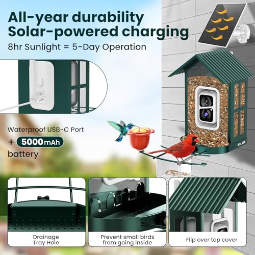 SOLIOM Bird Feeder with Camera, Solar Smart Bird Feeder Camera with AI Bird Identification, 2K HD Live View & Instant Alerts, Squirrel-Proof Metal Outdoor Bird Feeder, Bird Watching Gift Set (Green) - color: Green Medium Set