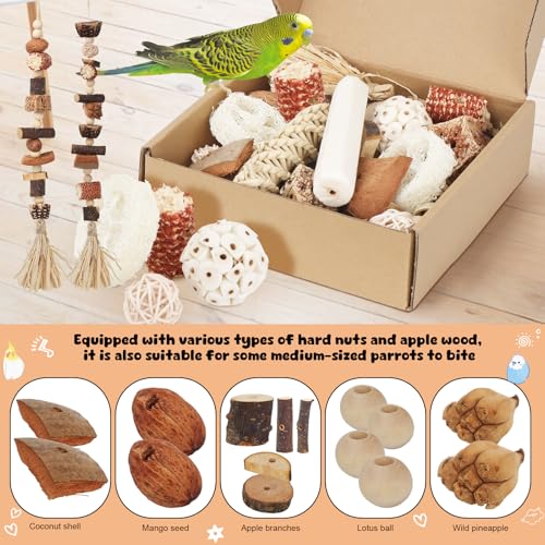 Bird Toys Parrot Natural Foraging Box Parakeet Toys DIY Hanging String for Cockatiels,Conures,Love Birds,and Other Small to Medium Birds Cage Accessories (Medium) - size: Medium