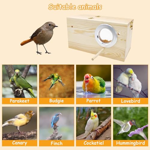 PINVNBY Large Natural Wood Parakeet Nesting Box Budgie Breeding Box Acrylic Bird Nest for Cage Transparent Panoramic for Birds, Parrots, Cockatiels, Lovebirds, Canaries (S: 7.87 x 4.72 x 4.72 inch) - size: S: 7.87 x 4.72 x 4.72 inch