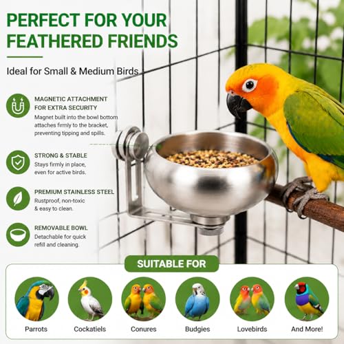 Magnetic Stainless Steel Bird Food Bowl for Cage, No Drill Removable Metal Feeder Cup for Parrots, Cockatiels, Conures, Budgies and Lovebirds, 150ml,4246-1 - color: Silver