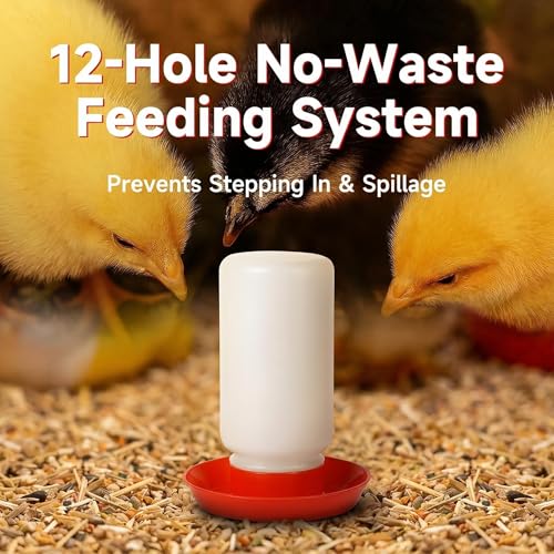 4PCS Chick Feeder and Waterer Kit,Baby Poultry Starter Set for Small Poultry Chicks Ducks Quail Pigeons Birds(Red Chick Feeder Waterer Kit) - color: 4PCS Chick Feeder and Waterer Kit