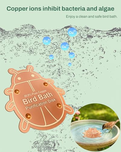 OICEME Bird Bath Purification Disk Pure Copper Outside Winter Solar Power Birdbath Heater Deicer Bowl Safe Ground Garden Hummingbird Pedestal Fountain Cleaner Outside Hanging Bowl Dispenser Ladybug - color: Copper Ladybug