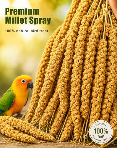 TINYFIELD Millet Spray for Birds, Parakeet Budgie Cockatiel Parrot Treats Snacks (0.5 Pound) | Real Fish Included, Seeds & Nuts Blend