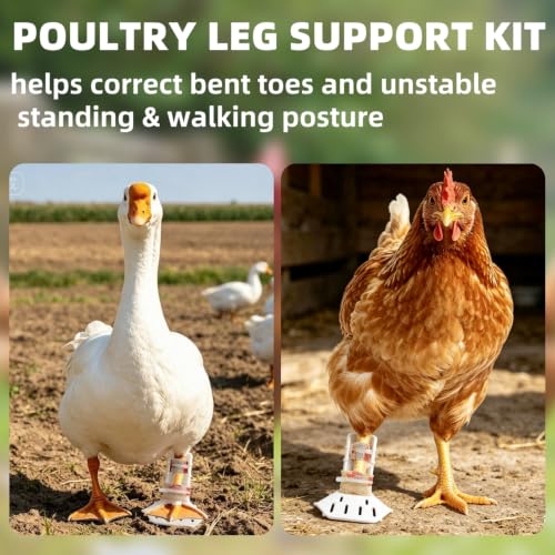 4 Sizes Poultry Leg-Splint Set, Leg Support for Injured Chicken, Goose, Duck