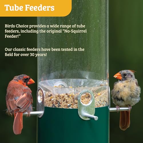 Birds Choice Classic Hanging Bird Feeder with Weatherguard Baffle | Squirrel Proof Bird Feeder for Cardinals, Chickadees, Woodpeckers | Sturdy Steel Construction | Backyard Birdseed Dispenser | Green | Squirrel Resistant Steel Construction in Green, for C