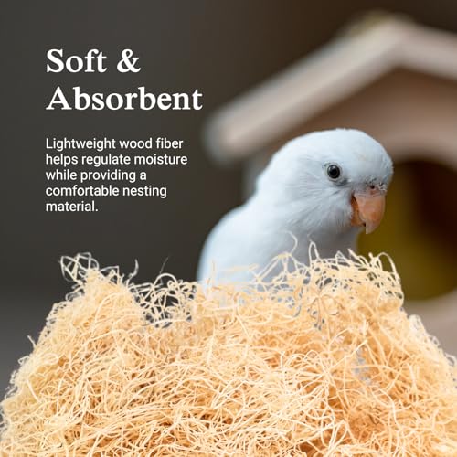 Aspen Wood Excelsior, Fine Cut, Small 2-Pack | Natural Aspen Wood Excelsior for Crafts & Animal Bedding, Cages, Soft & Absorbent, Dye-Free, Family Owned, USA Made - size: Small 2-pack, style: Fine Cut