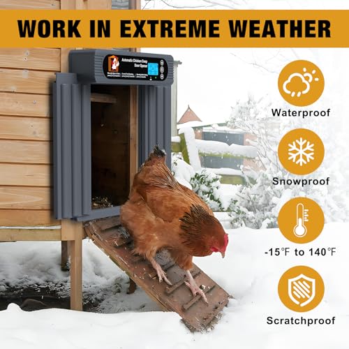 Automatic Chicken Coop Door, Extra Large Size, Anti-Pinch Design,Programmable Timer & Light Sensor Modes, Large LCD Display, Solar Powered Auto Chicken Door Opener with Remote Control（50-100m）