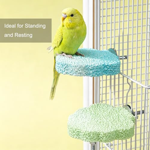 2pcs Resin Parrot Perch Stand Toy, Anti-Slip Bird Beak Grinding Stone for Cage, Washable Claw Trimmer Care Stand for Budgie, Conures, Parakeets Cage Accessories