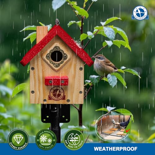 SISTERBIRD Wren Bird House, Premium Wooden Bird Houses for Outside, Classic Cabin Design Birdhouses for Outdoors, Hanging Bird House, Red-Breasted Nuthatch Wren Chickadee - color: Red with Log Color upgrade