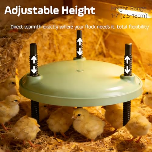 Brooder Plate for Chicks,12inch Metal Heating Plate,Perfectly Adjustable Height & Angle, 35W Chick Warmer for Brooding Newborn Chicken Duckling Quail,Chicken Coop Heater, Warming Puppy Cats