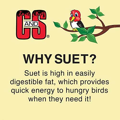 Kaytee Orange Harvest Suet Dough | Year-round feeding. Orange harvest suet for birds. Tray included, less messy, 1 bird food block