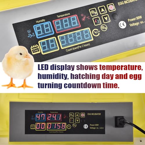 GRAND ORANGE Egg Incubator Automatic Digital Poultry Hatcher Machine | Breeder with Temperature Control and Auto Turning for Hatching Chicken Duck Goose Quail Birds (96 Eggs) - size: 96 Eggs
