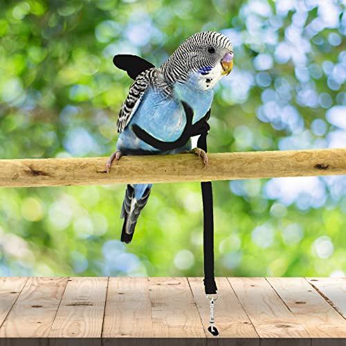 Dnoifne Pet Parrot Bird Harness and Leash, Adjustable Training Design Anti-Bite, Bird Nylon Rope with Cute Wing for Parrots, Suitable for Scarlet, Keck, Mini Macaw and Same Size Birds (Black) - color: black