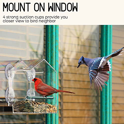 Window Bird Feeder for Outside with Strong Suction Cups, Fits for Cardinals, Finches, Chickadees etc. - style: Big House Style