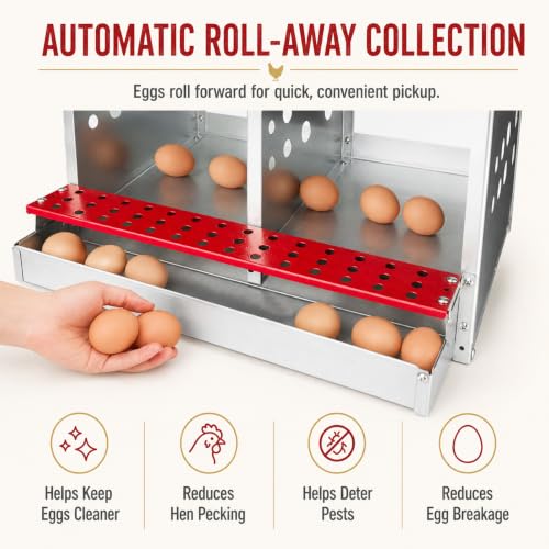 4-Compartment Roll Away Chicken Nesting Box for Hens, 21 Inch | Metal build, Egg collection tray, Perch, Protective lid, Wall mount, Freestanding setup, Ducks, Backyard coop, Barn supply - size: 16.3"L x 16.9"W x 24.4"H