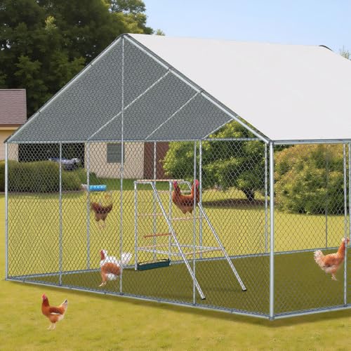 Chicken Coop Roosting Perch, Chicken Bars Roosting Ladder with Leg Bands for Perch, Backyard Poultry, Farm