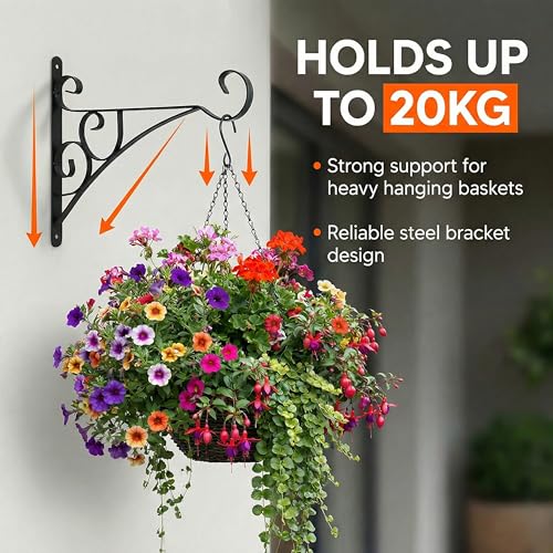 Scroll Metal Wall Bracket with Curled Hook for Hanging Accessories and Flowerpots for Indoor & Outdoor Use, Black Set of 2 - color: Black, size: Curled Scroll