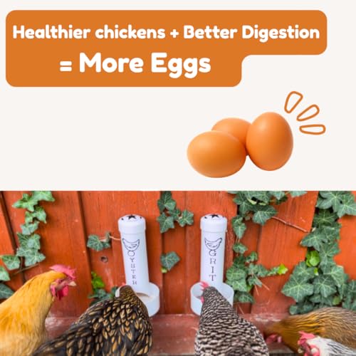 Grit Feeder for Chickens