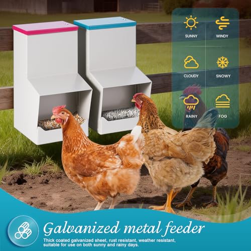 2PCS Metal Automatic Chicken Feeder, Wall Mount Hanging Poultry Feeder Dispenser with 2 Ports, 7lb Chicken Grit and Oyster Shell Feeder Trough No Waste for Outside Coop Quail Ducks Turkeys