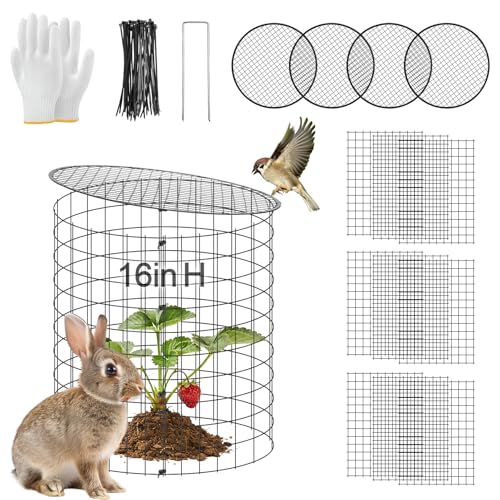 16''H x 11''Dia Plant Protectors from Animals - Full-Protection Anti-Rust Plant Cages with Covers for Outdoor Plants, Wire Garden Cloches for Plants Strawberry Keeping Chicken Rabbits Out, 4 Sets