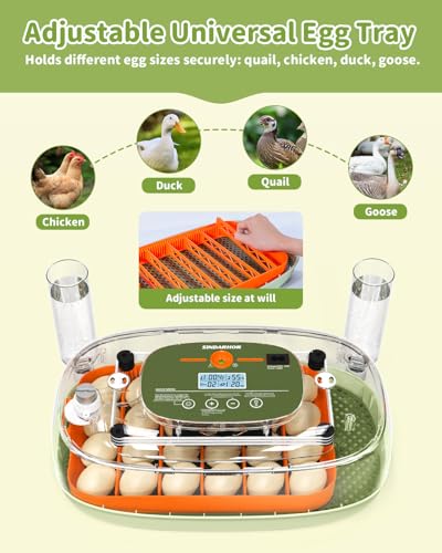 24 Egg Incubator with Automatic Turner Poultry Hatcher | Digital Temp Humidity Monitor, Low Humidity Alarm, External Water Bottles, Built-in Egg Candler for Chicken, Duck&Quail Eggs - color: Green