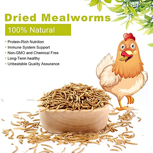 10oz Dried Mealworms for Chickens Duck High Protein Birds Treat | Worms Raised on a Clean Natural Diet, Hand Inspected Animal Feed Snacks for Turtles, Fish, Hamsters, Hedgehogs, Reptiles - size: 10 Ounce (Pack of 1), style: Mealworms
