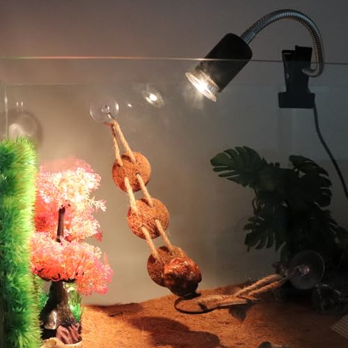 Hermit Crab Heat Lamp, Reptile Heat Lamp with Clamp, Reptile Light with Rotatable Hose and Timer, Suitable for Reptiles Lizard Turtle Tortoise Snake Bearded Dragon Hermit Crab, 2 Bulbs 25W+50W - size: Single-Head