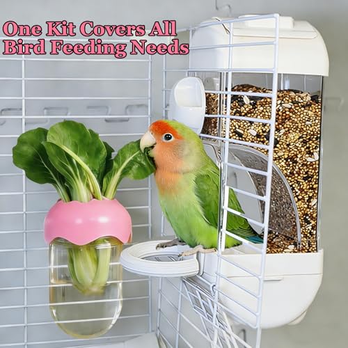 Automatic Bird Cage Feeder No Mess Bird Feeding Station Parrot Vegetable Holder Fruit Clips for Parakeet Cockatoo Canary Lovebirds Budgie (White) - color: White