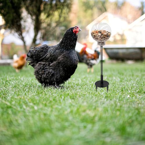 Oooct 4 Pack Chicken Peck Toy - Chicken Enrichment Toys with Swing Feeder & Slow Feeder for Hens, Ducks, Parrots - size: 4 Pack