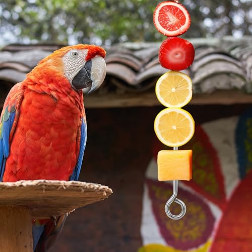 3Pcs Bird Food Holder Cage Food Holder Stainless Steel Small Animal Bird FoodTreats Skewer Hanging Vegetable Fruit Feeder Feed Treating Tool Parrots Cockatoo Cockatiel (Silver)