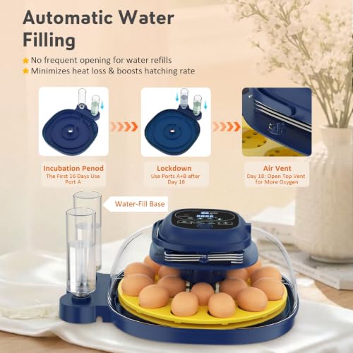 18 Egg Incubator for Hatching Eggs with Automatic Turning, Digital Temperature & Humidity Control, Built-in Egg Candler & Auto Water Refill, 360° Clear View for Chicken - color: Deep Blue+Yellow