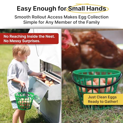 HenGear Nesting Boxes for Chickens, Roll Away Laying Boxes, Nest Box, Small | Nest Box with Rollout Egg Collection, Nesting Pads for Cleaner Eggs, Reversible Accessories, G90 Galvanized, Up to 20 Hens