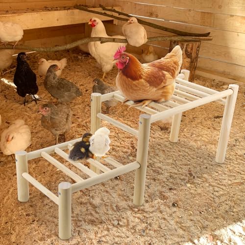 Chicken Perch - Roosting Ladder for Chicken Coop - Jungle Gym & Toys for Poultry