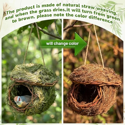Hotop 4 Pcs 5 x 5.5 Green Grass Birdhouse for Outside Hand Woven Hummingbird Nest House Roosting Pocket Small Natural Fiber Bird Houses for Finch Canary Chickadee Outdoors Hanging Garden Decoration