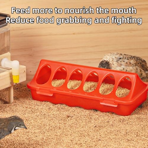 Small Poultry Feeder Porous Anti Grab Anti Spill Design for Chicken and Quail Coops, Backyards and Farm Use, 12 Holes - color: 12 holes