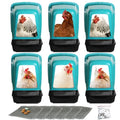 Chicken Nesting Boxes Chicken Laying Boxes with Egg Roll Out Nesting Boxes for Chickens Coop Nest Box Large, Easy to Install, Waterproof and Durable (Green, 6 Pack) - color: Green, size: 6 Pack