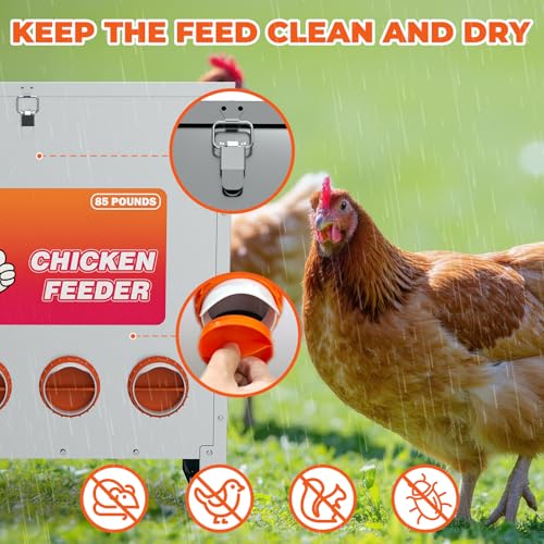 10 Port Automatic Chicken Feeder, No Waste Poultry Feeder with Lid | 85 LBS Large Gravity, Weatherproof Lid, Locking Latch, Convenient Handle, Heavy Duty Automatic Metal Chicken Feeder - size: 10 Ports (85-120 LBS)