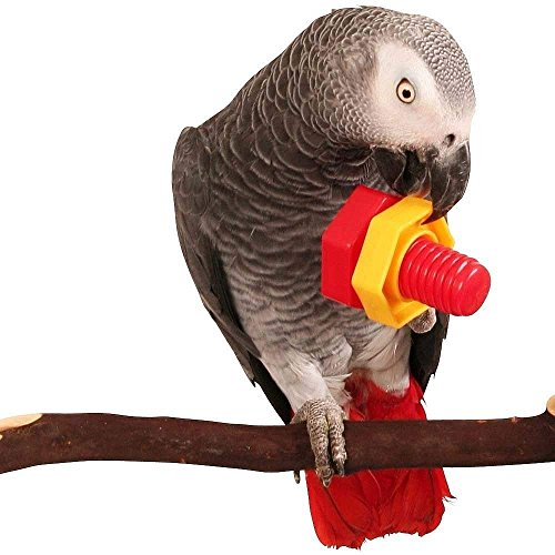 Hypeety 4pcs Bird Intellective Toys Screw Training Toy for Parrot Parakeet Macaw African Greys Budgies Cage Toy (A) - color: Intellective Toy A