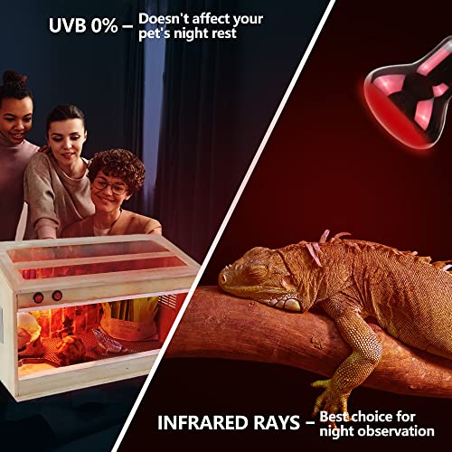 LUCKY HERP 50W Reptile Heat Lamp Bulbs 2 Pack, Reptiles & Amphibians Infrared Basking Spot Lamp, Heat Light Bulb for Turtle, Bearded Dragon, Lizard - color: Infrared Basking Light Bulb, size: 50 Watts