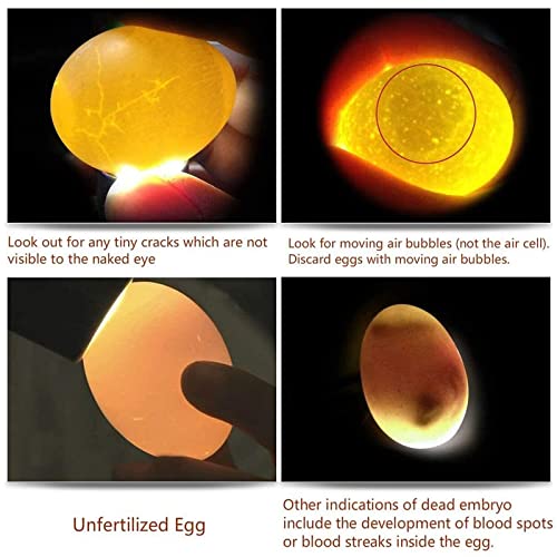Egg Candler for Chicken Eggs, Rechargeable USB Egg Candling Light | High-Intensity Egg Candler Tester for Dark Eggs, All Chicken, Duck, and Quail - color: Dark Silver
