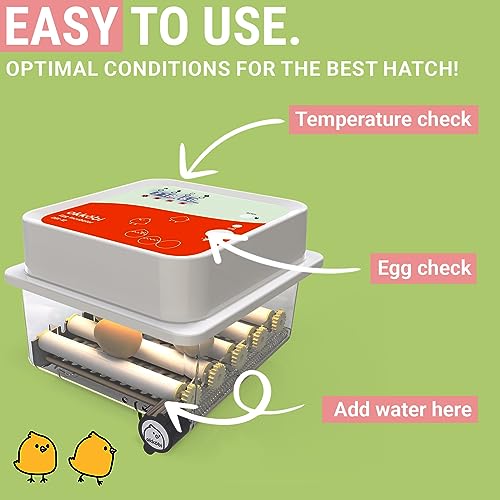 OBI-12 Incubator for Hatching Eggs – 12 Eggs, Easy to Use, Stable Temperature & Humidity Control with Eggloo Insulation - Orange