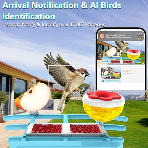 TayePin Bird Feeder with Camera Solar Powered & AI Identify 10,000+ Birds Species, 2.4Ghz WiFi Smart Feeding, 2K HD Live Video for Outdoor, IP65 Waterproof, Instant Arrival Alerts, Bird Lover Gifts